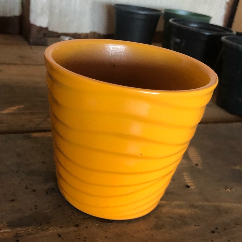 ✨ Three inch plant pot ✨